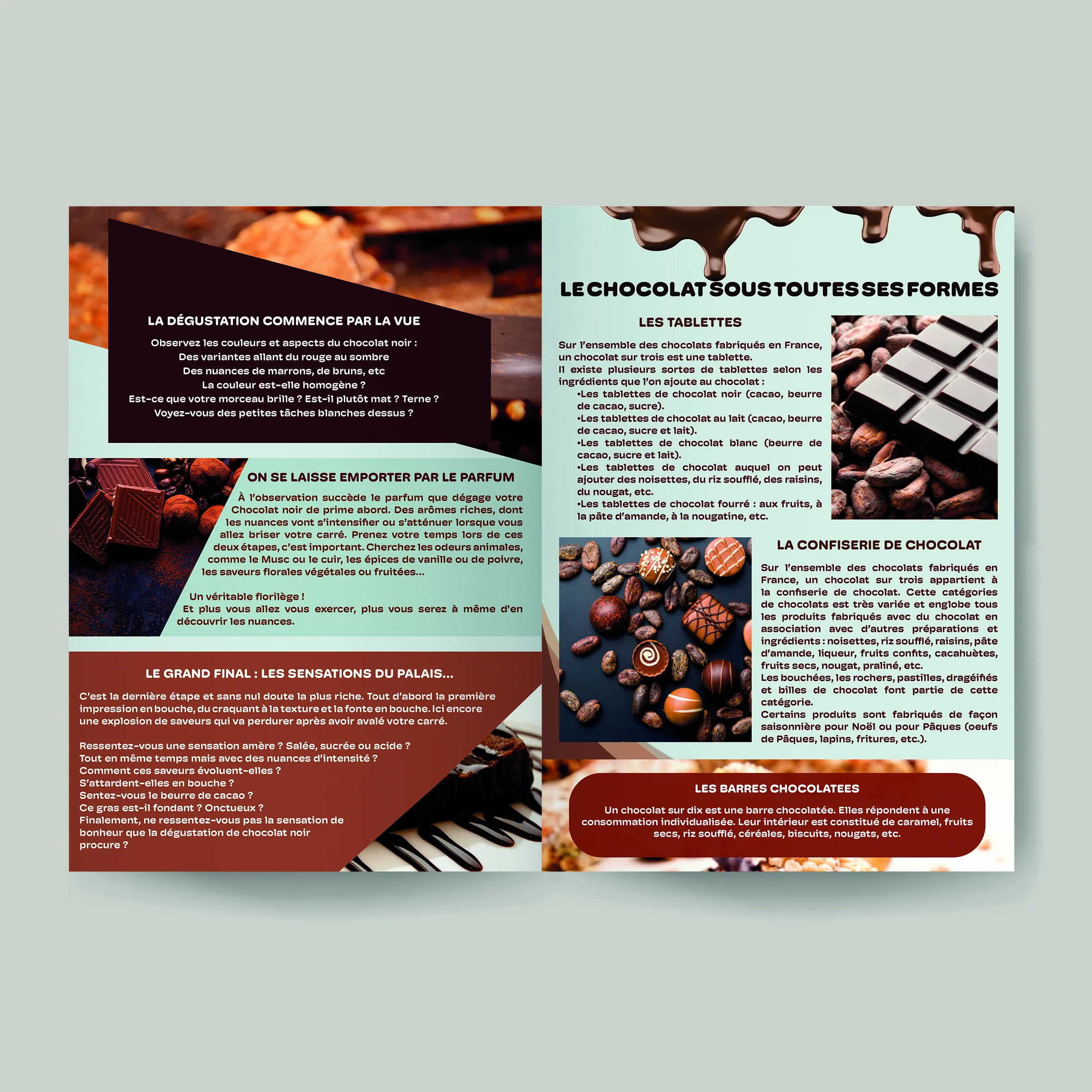 pages intérieures brochure 4 pages sur le chocolat